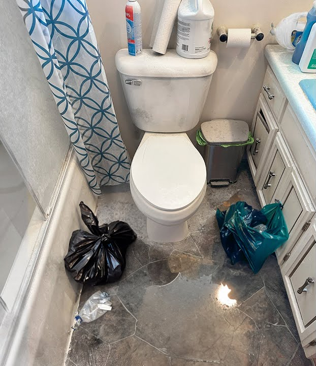 Before - Comprehensive Bathroom Deep Clean & Declutter
